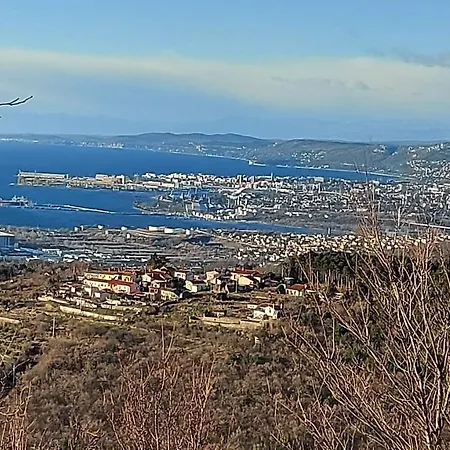 Dom wakacyjny Hisa Sterna - Well House *