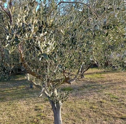 Hisa Sterna - Well House * زْغورنيي سْكوفييي